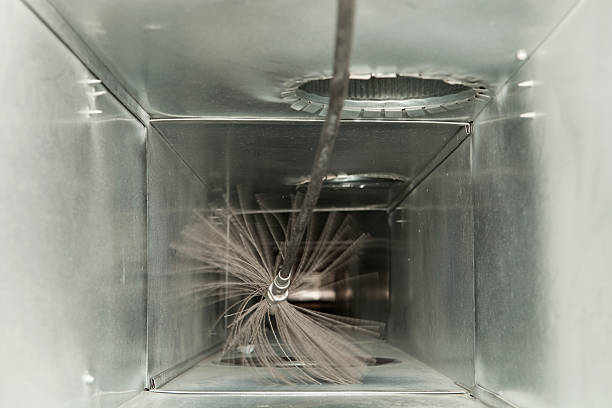 Best Professional Duct Cleaning Services  in Dixon, CA