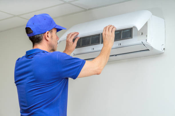 Air Duct Mold Removal in Dixon, CA